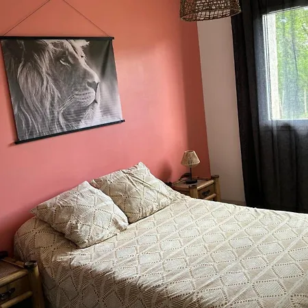 Maison Thierry Venkovský dům *